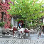 Victoria - Maison Caerdinael 4* デュルビュイ